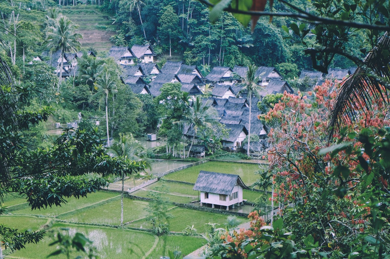 Traditional village community, Indonesia